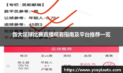 各大足球比赛直播观看指南及平台推荐一览