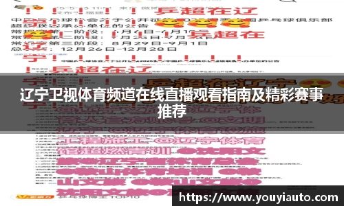 辽宁卫视体育频道在线直播观看指南及精彩赛事推荐